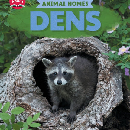 Dens Learn About Animal Homes