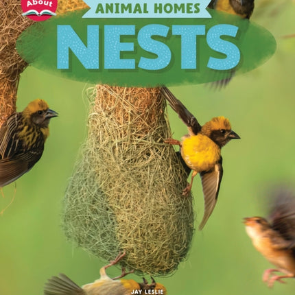 Nests Learn About Animal Homes