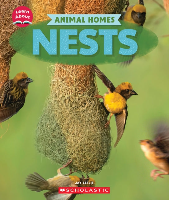 Nests Learn About Animal Homes