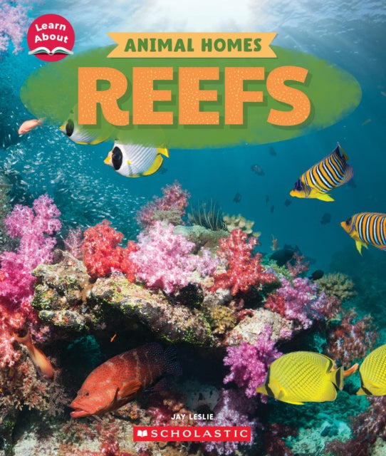 Reefs Learn About Animal Homes