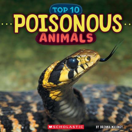 Poisonous Animals Wild World Top 10