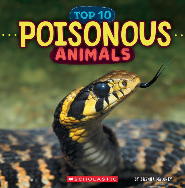Poisonous Animals Wild World Top 10