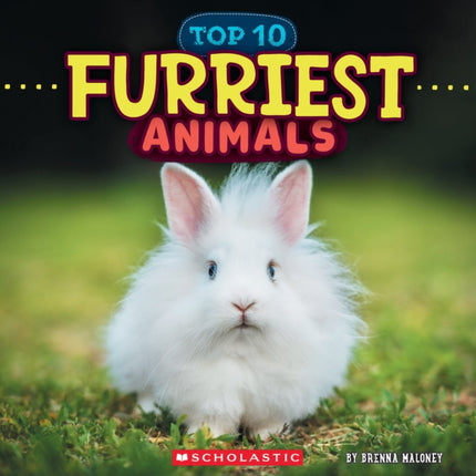 Furriest Animals Wild World Top 10