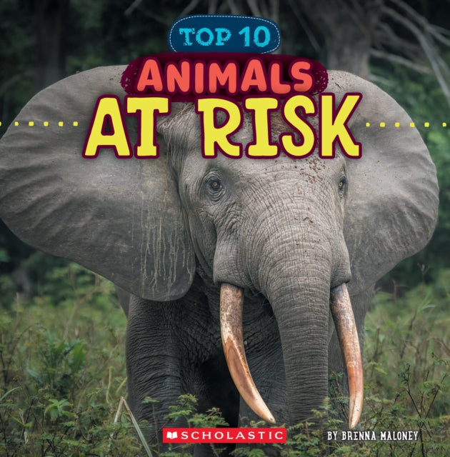 Animals at Risk Wild World Top 10