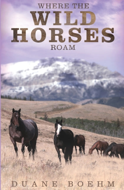 Where The Wild Horses Roam