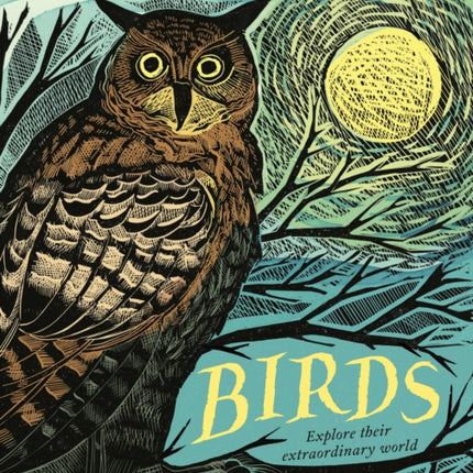 Birds: Explore Their Extraordinary World
