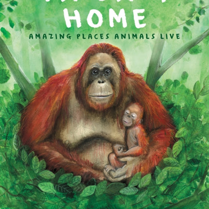 Finding Home