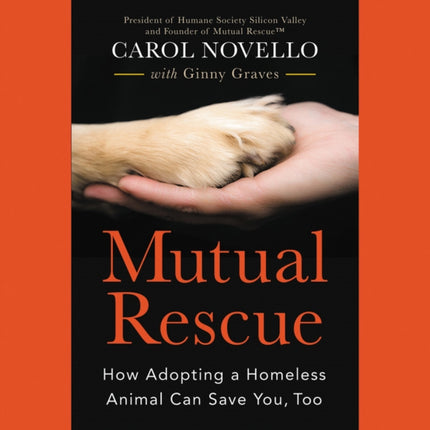 Mutual Rescue: How Adopting a Homeless Animal Can