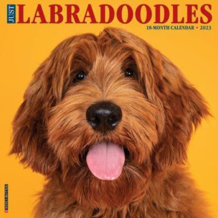 Just Labradoodles 2023 Wall Calendar