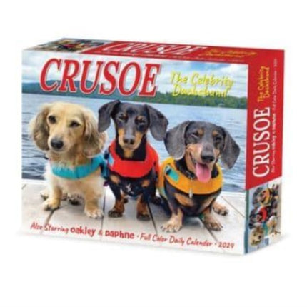 Crusoe the Celebrity Dachshund 2024 6.2 X 5.4 Box Calendar