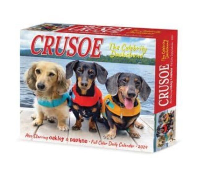 Crusoe the Celebrity Dachshund 2024 6.2 X 5.4 Box Calendar