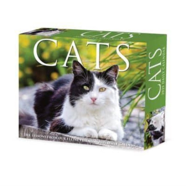 Cats 2025 6.2 X 5.4 Box Calendar