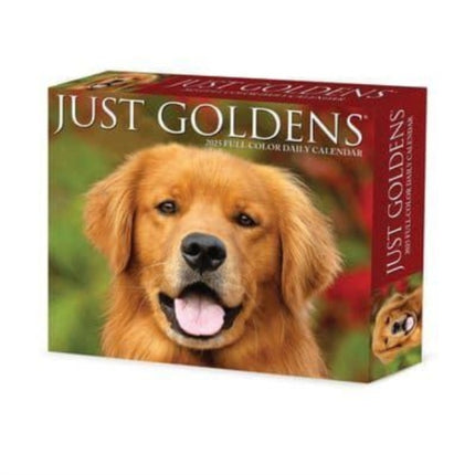 Goldens 2025 6.2 X 5.4 Box Calendar