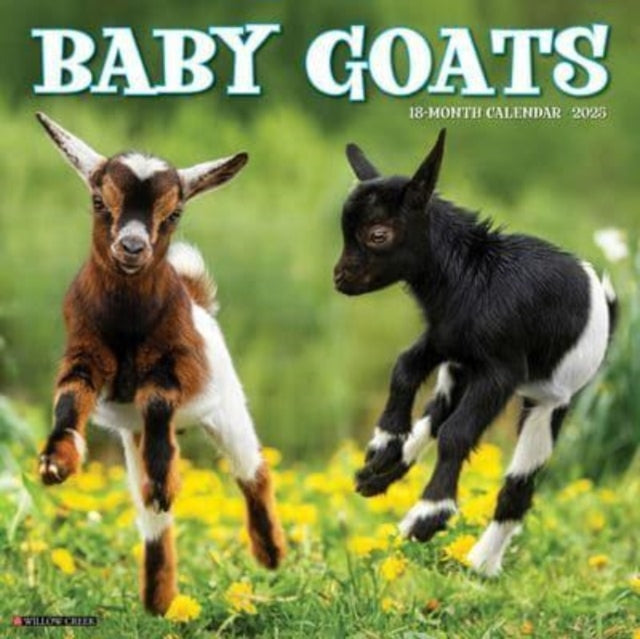 Baby Goats 2025 12 X 12 Wall Calendar