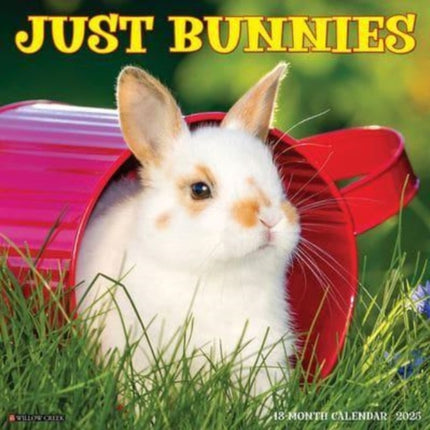 Just Bunnies 2025 12 X 12 Wall Calendar