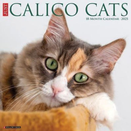 Just Calico Cats 2025 12 X 12 Wall Calendar