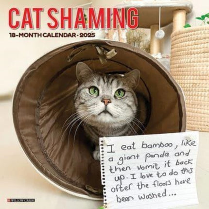 Cat Shaming 2025 12 X 12 Wall Calendar