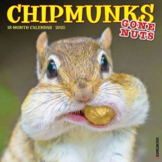 Chipmunks Gone Nuts 2025 12 X 12 Wall Calendar