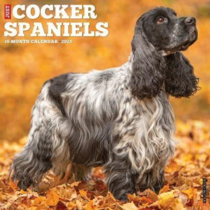 Just Cocker Spaniels 2025 12 X 12 Wall Calendar