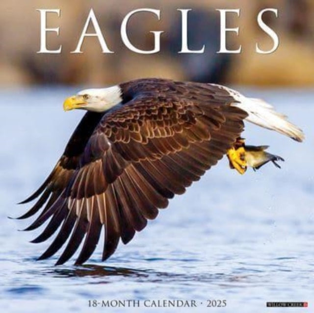 Eagles 2025 12 X 12 Wall Calendar