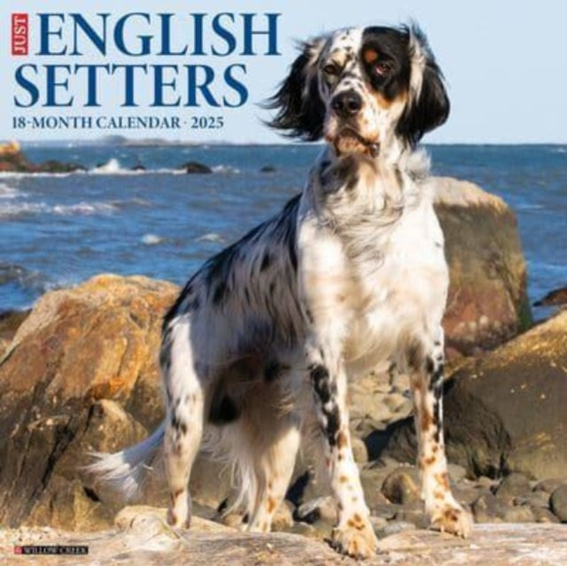 Just English Setters 2025 12 X 12 Wall Calendar