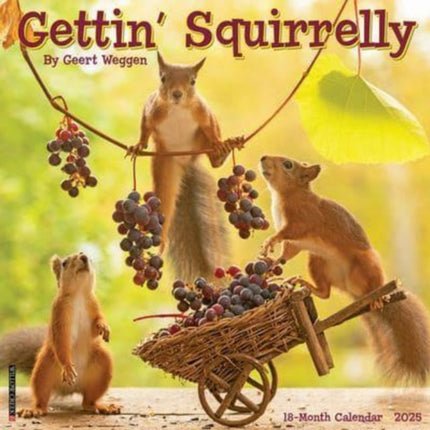 Gettin Squirrelly 2025 12 X 12 Wall Calendar