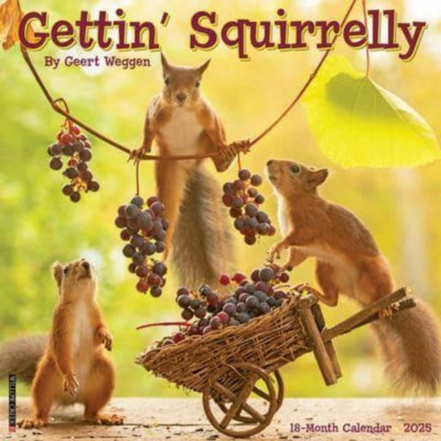 Gettin Squirrelly 2025 12 X 12 Wall Calendar