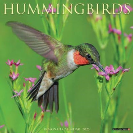 Hummingbirds 2025 12 X 12 Wall Calendar