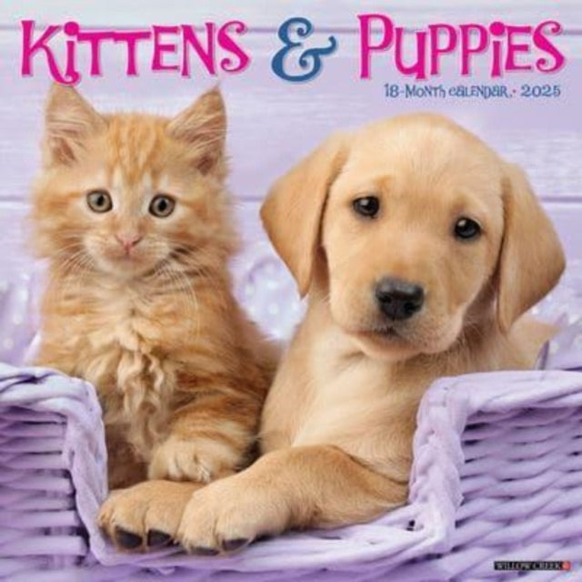 Kittens  Puppies 2025 12 X 12 Wall Calendar