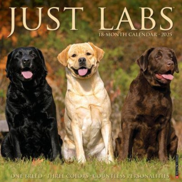 Just Labs 2025 12 X 12 Wall Calendar