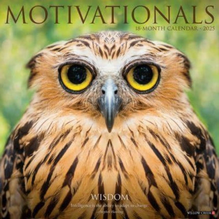 Motivationals 2025 12 X 12 Wall Calendar