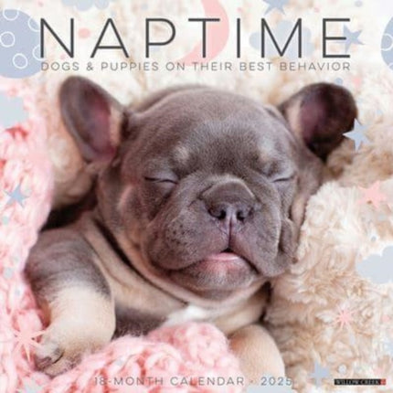 Naptime Dogs  Puppies 2025 12 X 12 Wall Calendar