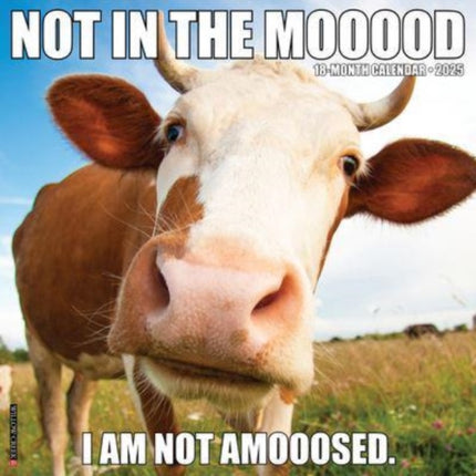 Not in the Mooood 2025 12 X 12 Wall Calendar