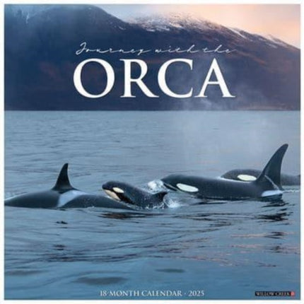 Orca Journey with The 2025 12 X 12 Wall Calendar