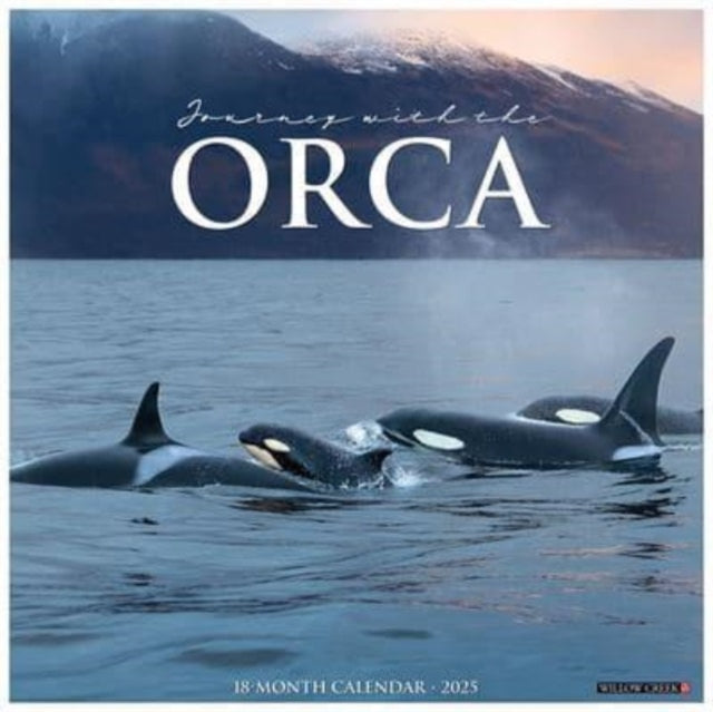 Orca Journey with The 2025 12 X 12 Wall Calendar