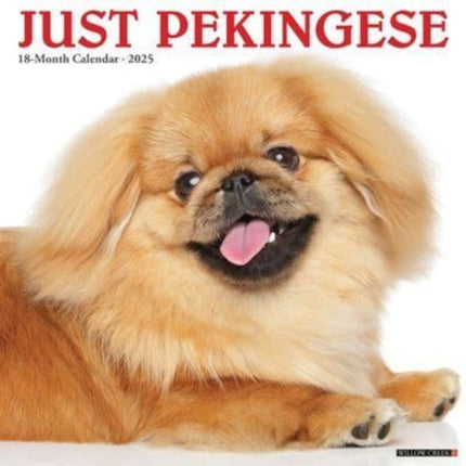 Just Pekingese 2025 12 X 12 Wall Calendar