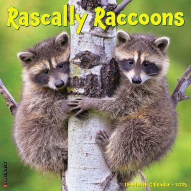 Rascally Raccoons 2025 12 X 12 Wall Calendar