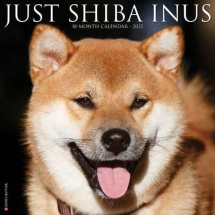 Just Shiba Inus 2025 12 X 12 Wall Calendar