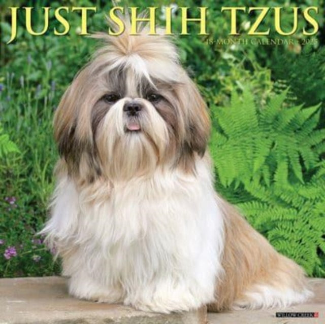 Just Shih Tzus 2025 12 X 12 Wall Calendar