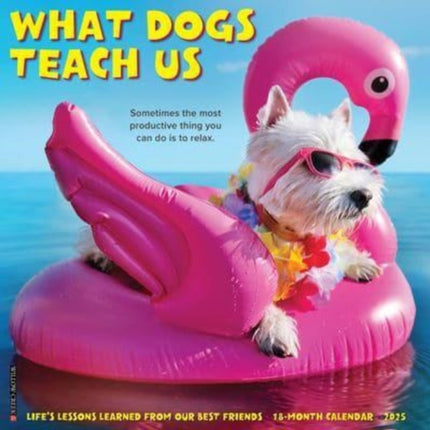 What Dogs Teach Us 2025 12 X 12 Wall Calendar