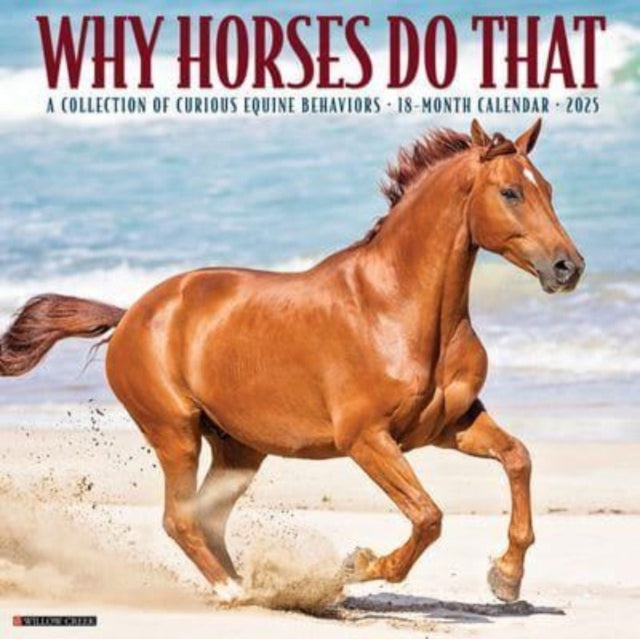 Why Horses Do That 2025 12 X 12 Wall Calendar