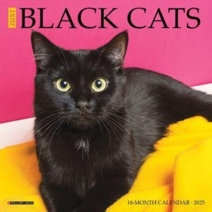 Just Black Cats 2025 7 X 7 Mini Wall Calendar