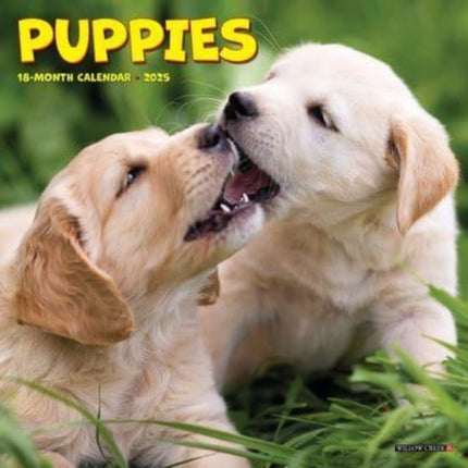 Puppies 2025 7 X 7 Mini Wall Calendar