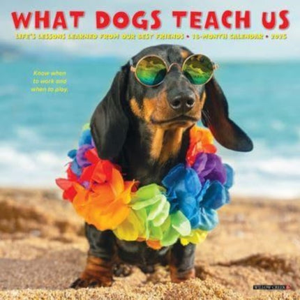 What Dogs Teach Us 2025 7 X 7 Mini Wall Calendar