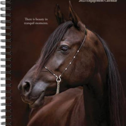 What Horses Teach Us 2025 6.5 X 8.5 Engagement Calendar