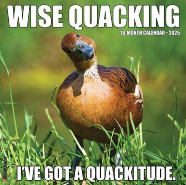 Wise Quacking 2025 12 X 12 Wall Calendar