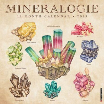 Mineralologie 2025 12 X 12 Wall Calendar