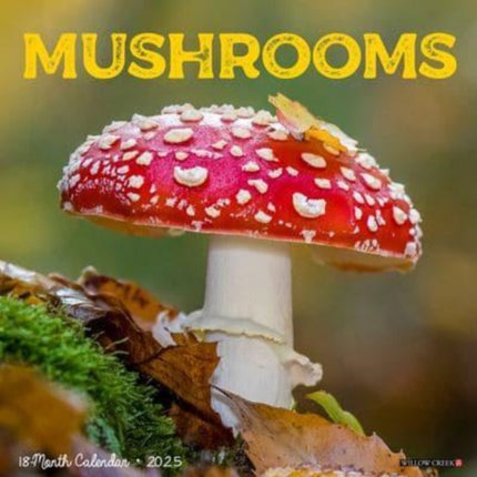 Mushroom the Art of The 2025 12 X 12 Wall Calendar