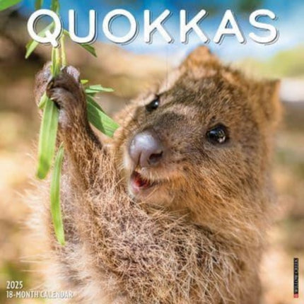 Quokkas 2025 12 X 12 Wall Calendar