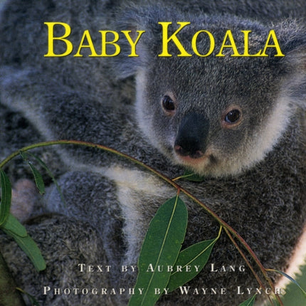 Baby Koala Nature Babies Series